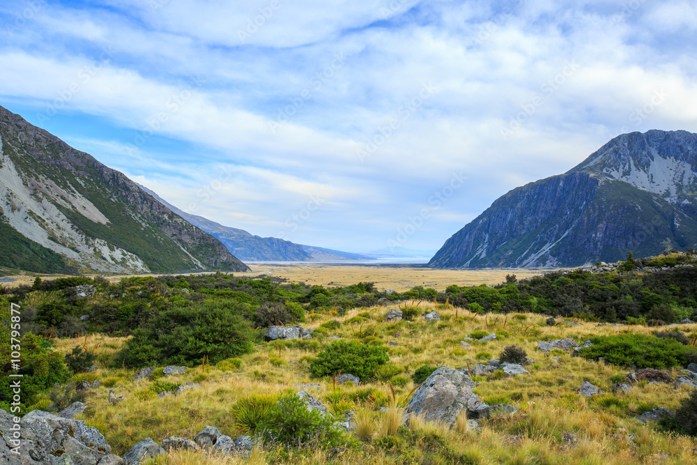 meadow and mountain landscape in Mount Cook National Park