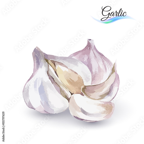 Garlic