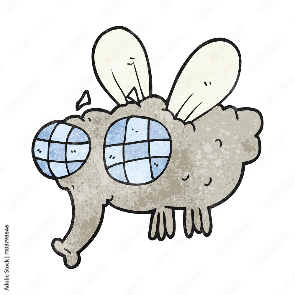 textured cartoon fly textured cartoon fly