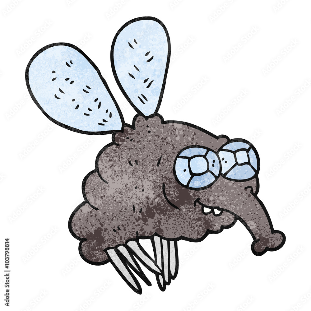 textured cartoon fly textured cartoon fly