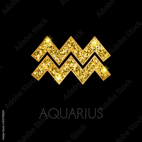 Zodiac sign Aquarius