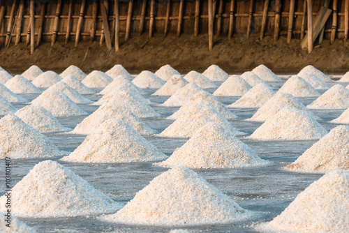 Salt farm, Food industry in Thailand