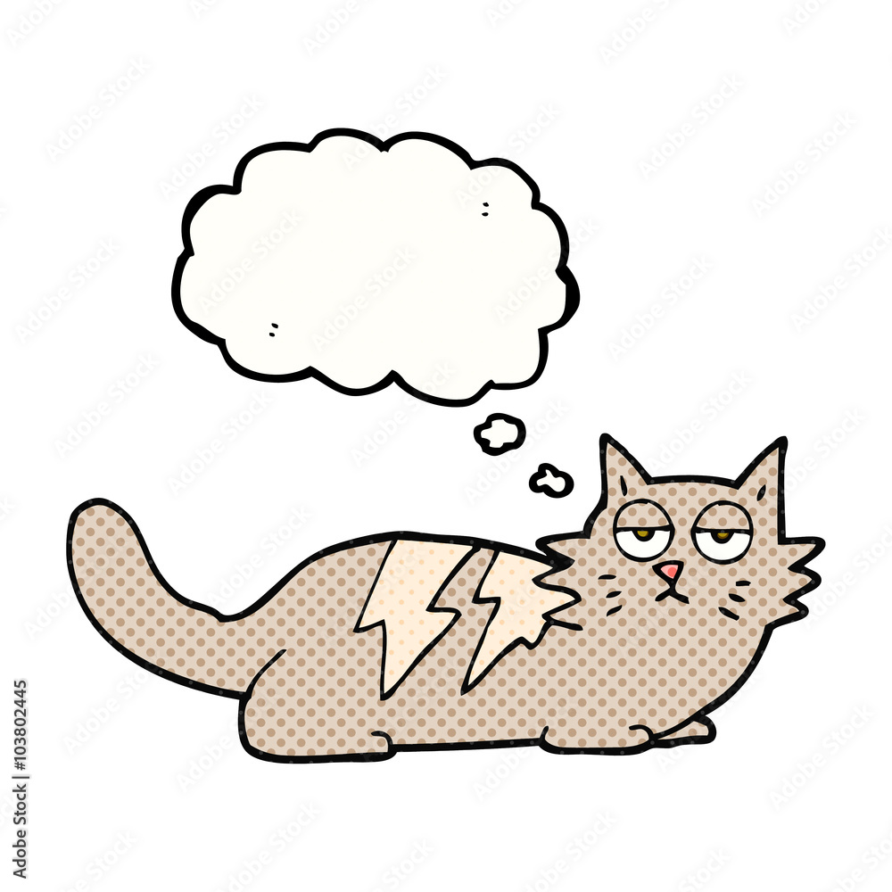 thought bubble cartoon cat thought bubble cartoon cat