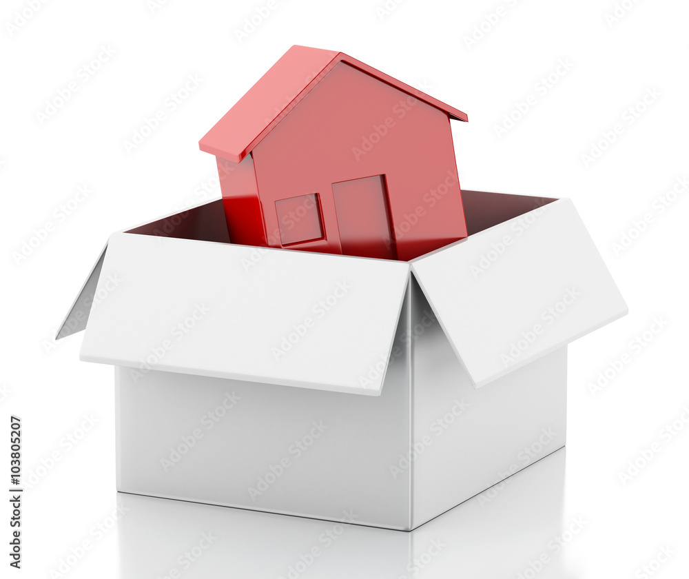 3d New house in white box.