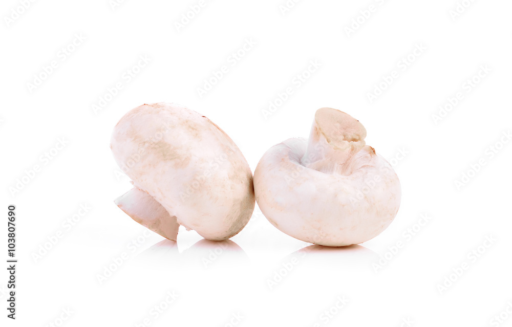 Champignon mushroom isolated on white background Champignon mushroom isolated on white background