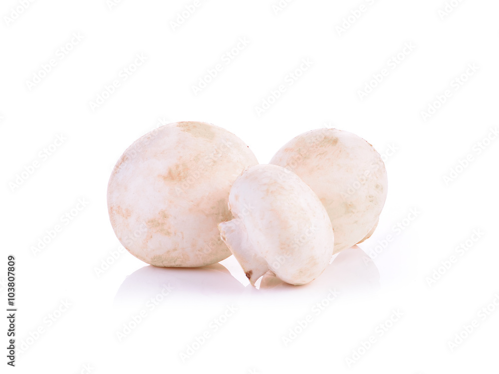 Champignon mushroom isolated on white background Champignon mushroom isolated on white background