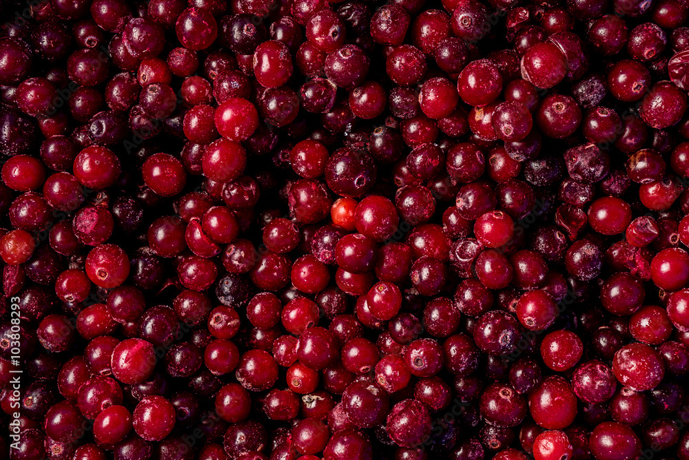cranberry background