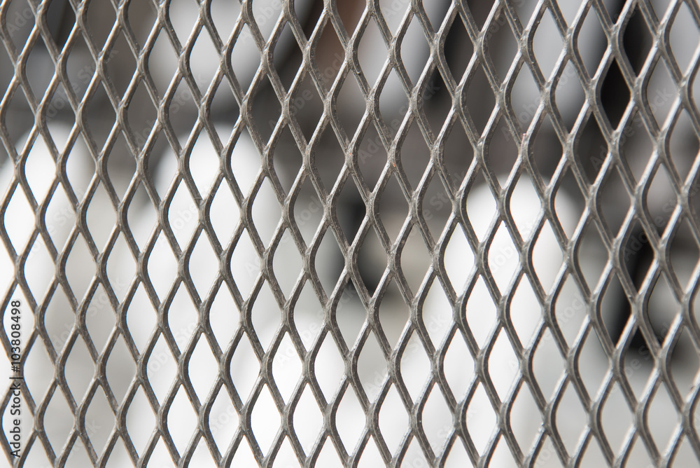 Fototapeta premium Iron net