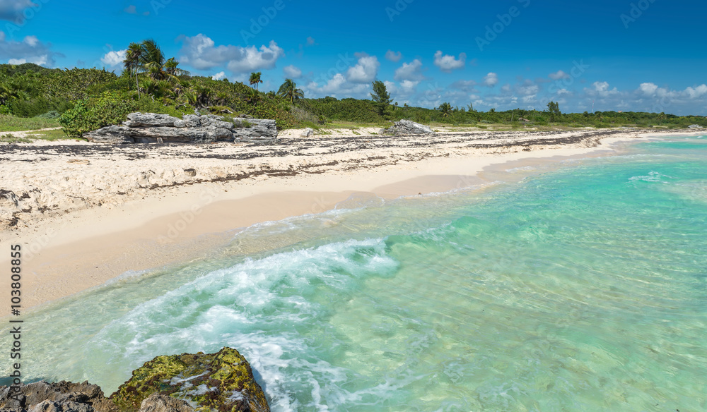 Wild Tropical Sandy Beach with Turquoise Waters. Caribbean Sea S