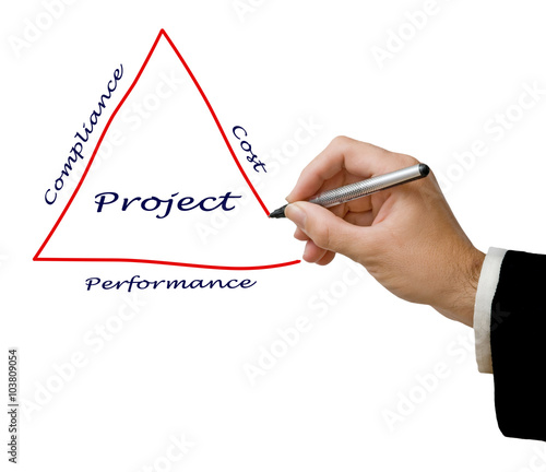 Diagram of project organization