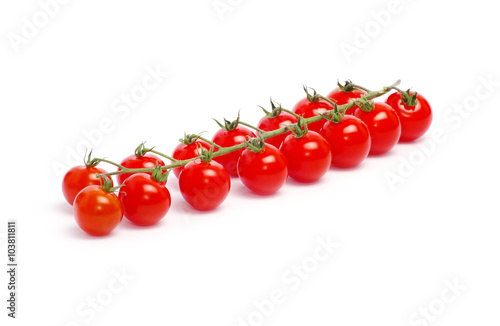  tomatoes