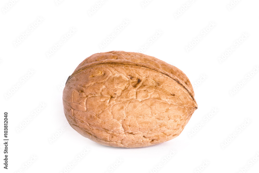 walnut isolated on a white background walnut isolated on a white background