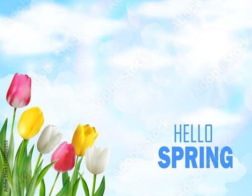 Tulips flowers beautiful spring 