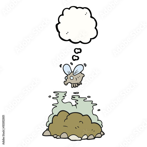 thought bubble cartoon fly and manure