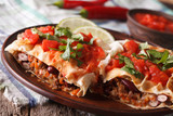 Mexican Food: chimichanga with tomato salsa close-up horizontal
