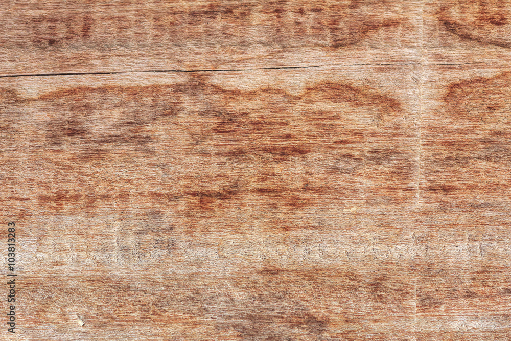 Texture of wood background closeup Texture of wood background closeup