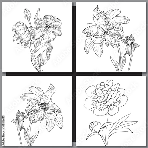 Fototapeta Set of hand drawn flowers sketches