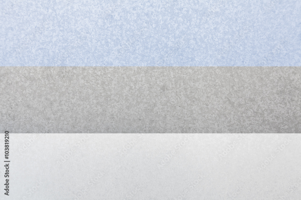 Fototapeta premium Estonia Steel Flag
