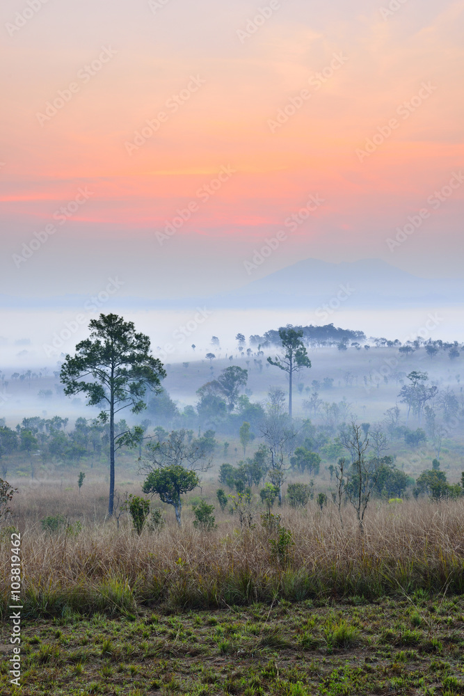 Fototapeta premium Natural landscape sunrise in winter.
