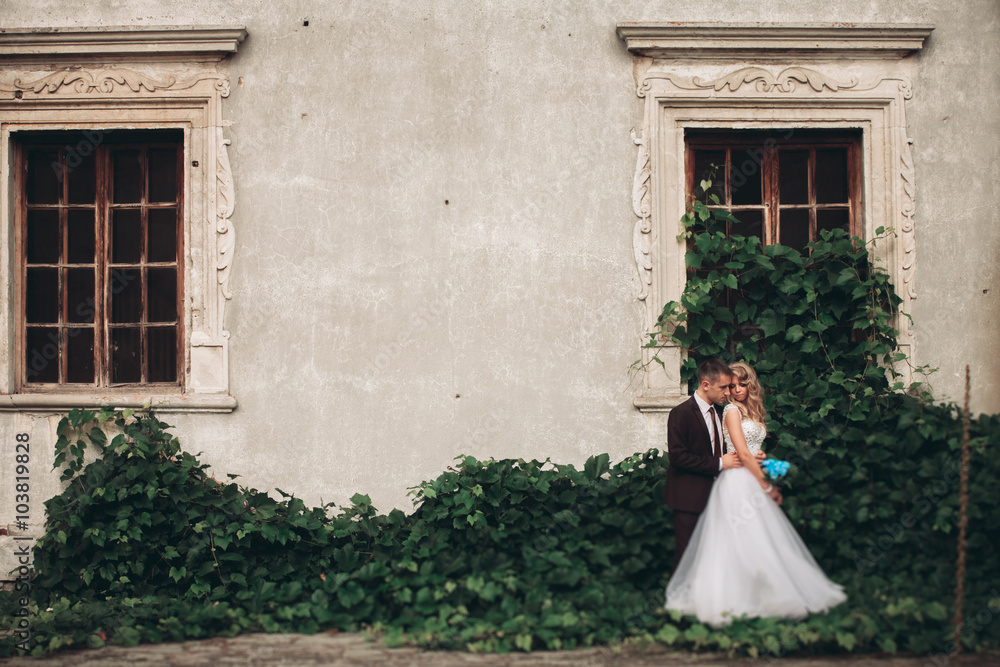 Luxury wedding couple hugging and smiling each other on the background gorgeous plants in castle Luxury wedding couple hugging and smiling each other on the background gorgeous plants in castle