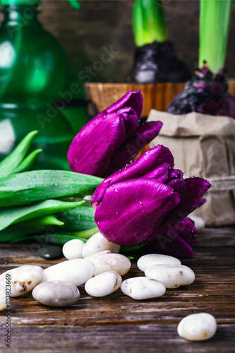 Bouquet of purple tulips