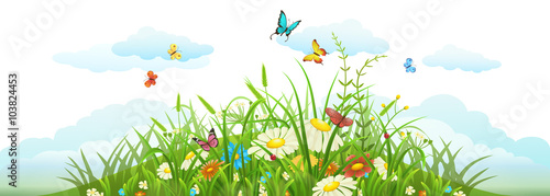 Summer and spring meadow banner with grass, flowers, butterflies and clouds