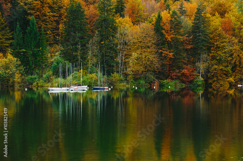 Autumnal scenic view of boats on the Bohinj lake surrounded by colorful forest. Slovenia, Europe, Triglav National Park