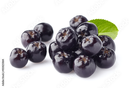 Chokeberry. Berries for health