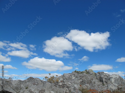 Bonsai Mountain Range