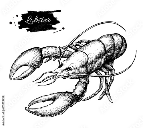 Vector vintage lobster drawing. Hand drawn monochrome seafood il