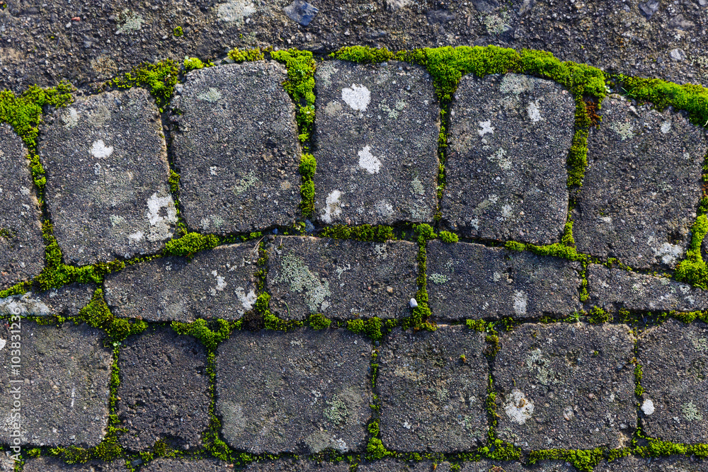 Obraz premium Stone pathway texture