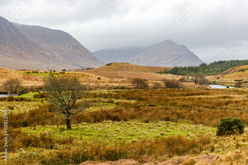 Irish landscape in winter