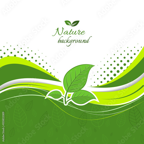 Nature background with green leaves.