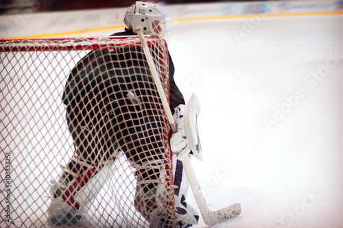 Hockey goalie