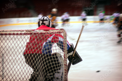 Hockey goalie
