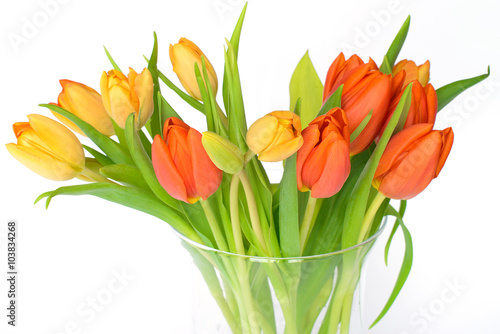 Fototapeta Naklejka Na Ścianę i Meble -  Colorfull tulips isolated on white background