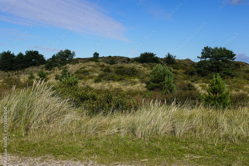 Obraz premium Grüner Hügel