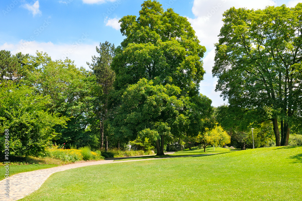 park, green meadow and blue sky