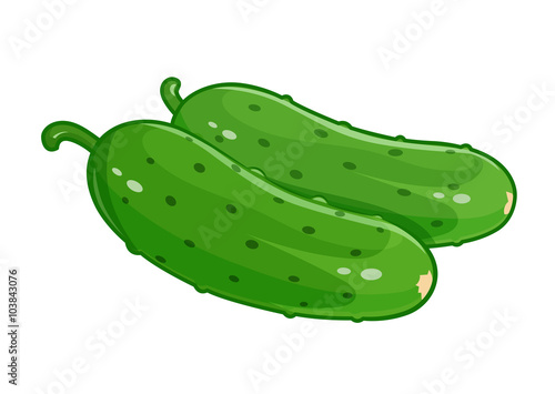 Couple cucumber vector illustration eps10 isolated white