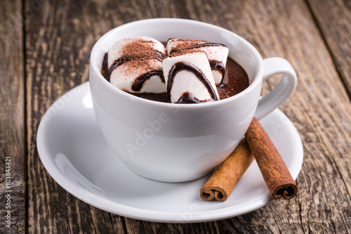 Cup of hot chocolate with marshmallow and cinnamon.
