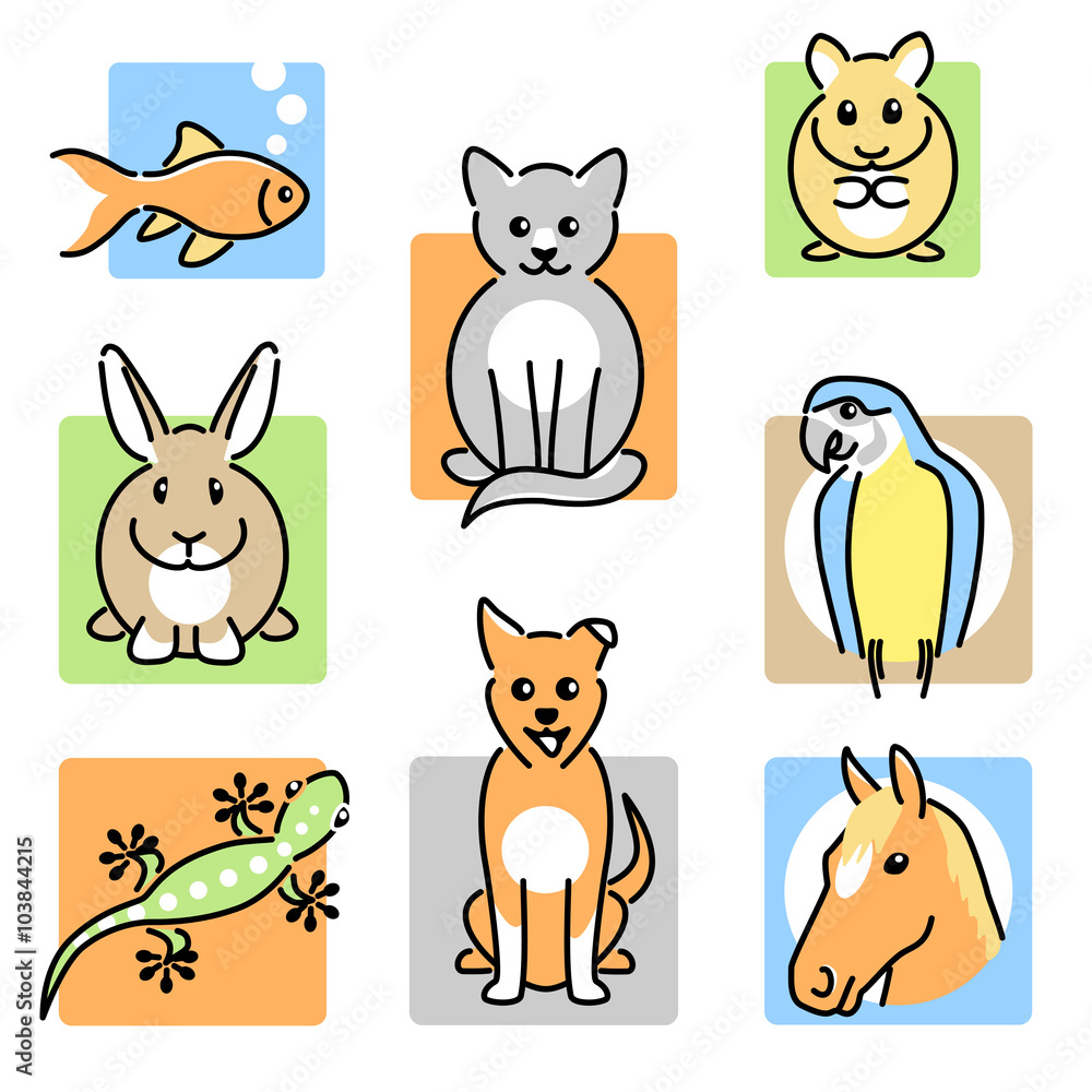 8 popular pets in pastel colours 8 popular pets in pastel colours