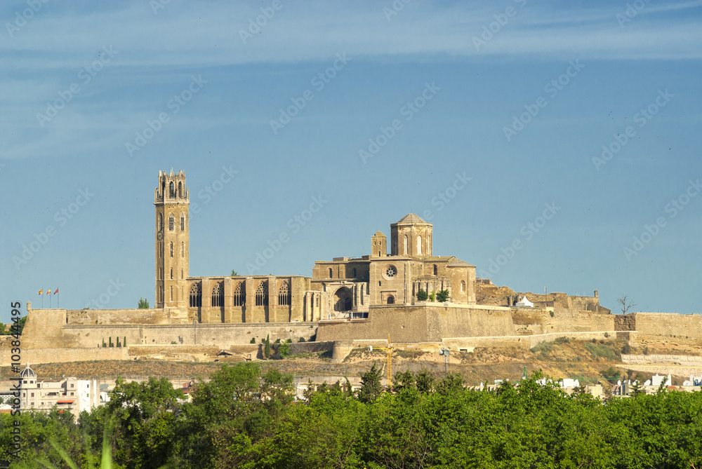 Fototapeta premium Panoramic view of Lerida (Spain)