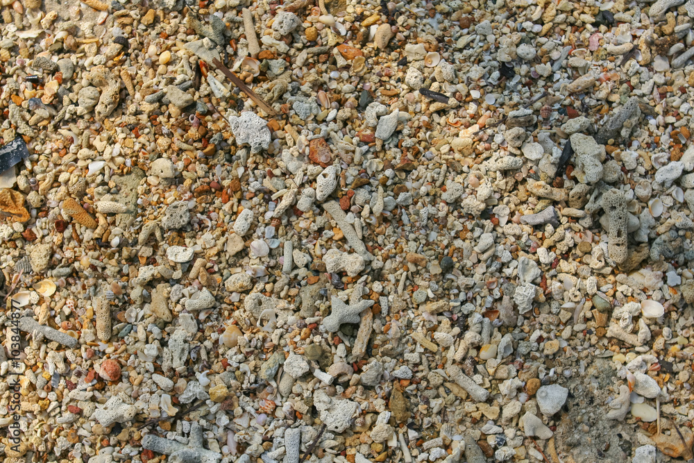 Sea sand texture made of shell and stone pieces. Sea sand texture made of shell and stone pieces.