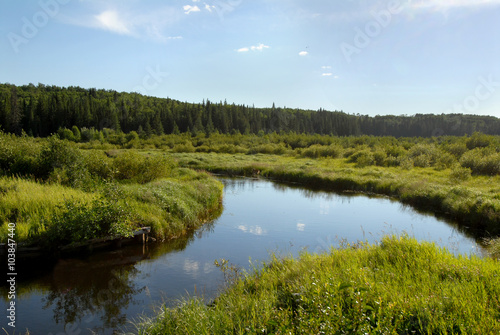 Marshland in Northern Saskatchewan, Canada