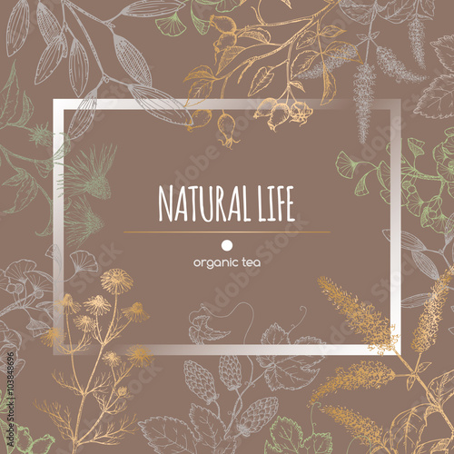 Organic tea label decorated with hand drawn herbs. 