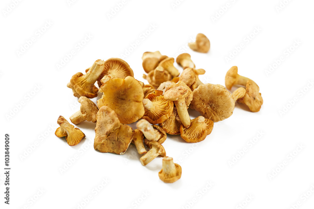 a heap of mushrooms a heap of mushrooms