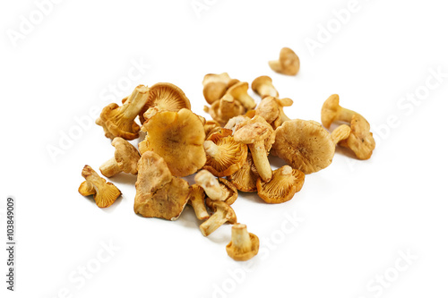 a heap of mushrooms