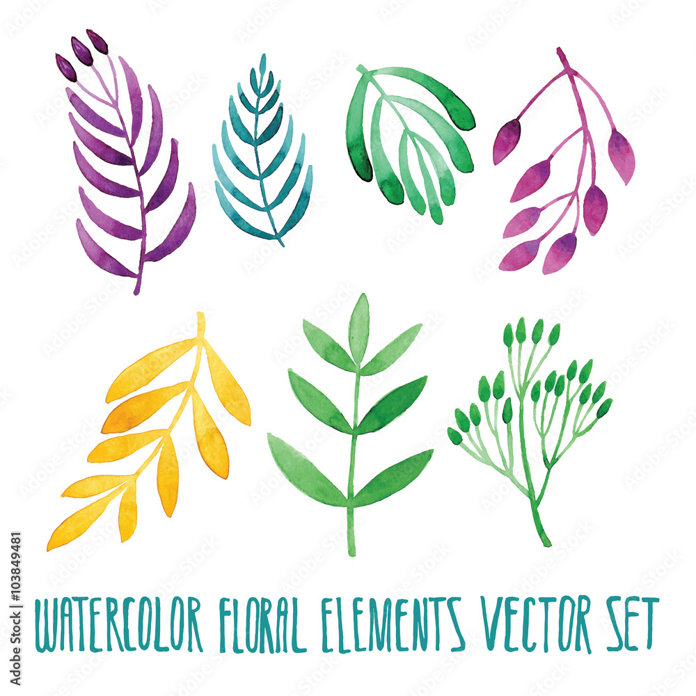 Vector floral set. Colorful floral collection with leaves, drawing watercolor. Spring or summer design for invitation, wedding or greeting cards. Set of floral elements for your compositions.