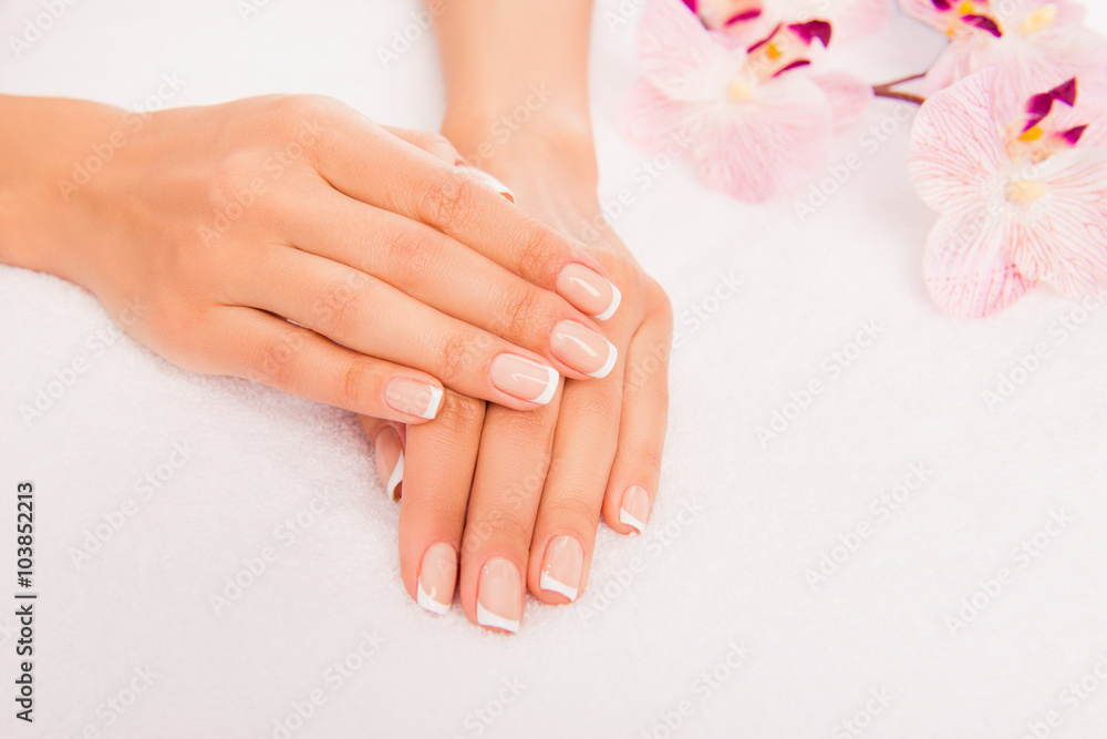 Close up photo of woman's hand with manicure and flower of orchi Close up photo of woman's hand with manicure and flower of orchi