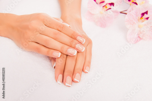 Close up photo of woman s hand with manicure and flower of orchi
